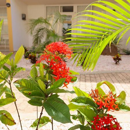 Montana Eco Resort Aruba Oranjestad Extérieur photo